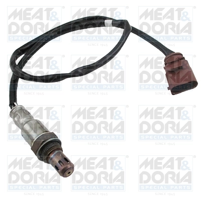 Oxygen Sensor